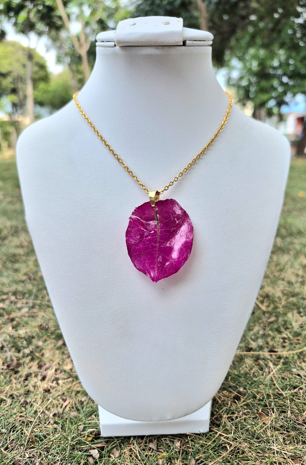 buganvilia